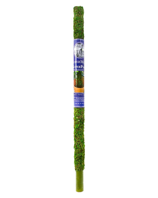 SUPERMOSS GREEN MOSS POLE 30 IN