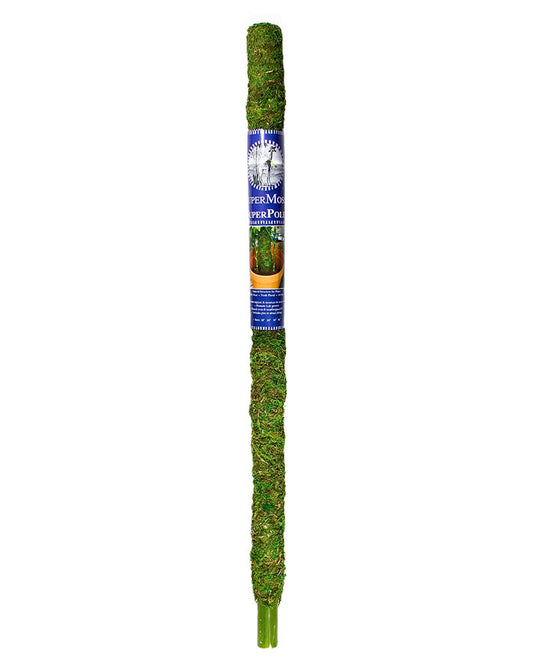 SUPERMOSS GREEN MOSS POLE 36IN