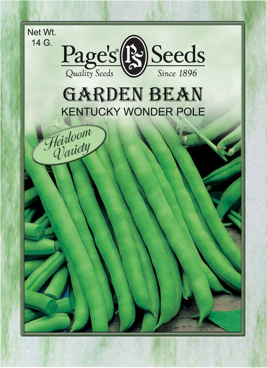 GARDEN BEAN - KENTUCKY WONDER POLE 14G HEIRLOOM NON GMO