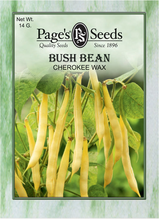 BUSH BEAN - CHEROKEE WAX 14G NON GMO