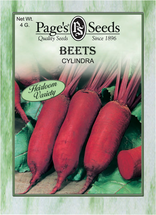 BEETS - CYLINDRA 4G HEIRLOOM NON GMO