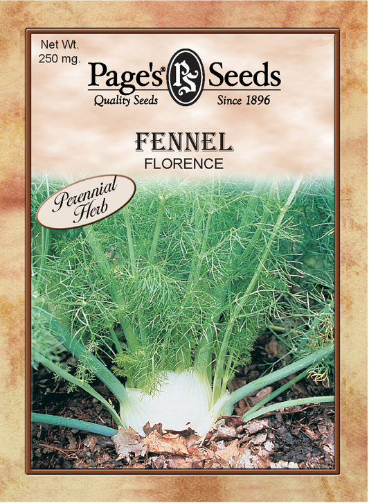 FENNEL - FLORENCE 250MG HEIRLOOM NONGMO