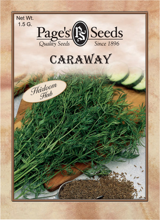 CARAWAY 1.5G HEIRLOOM NON GMO