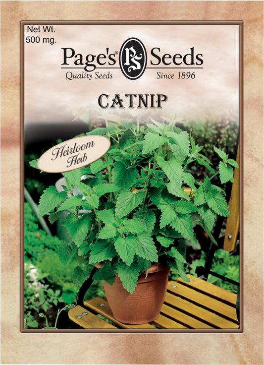 CATNIP 500MG HEIRLOOM NON GMO