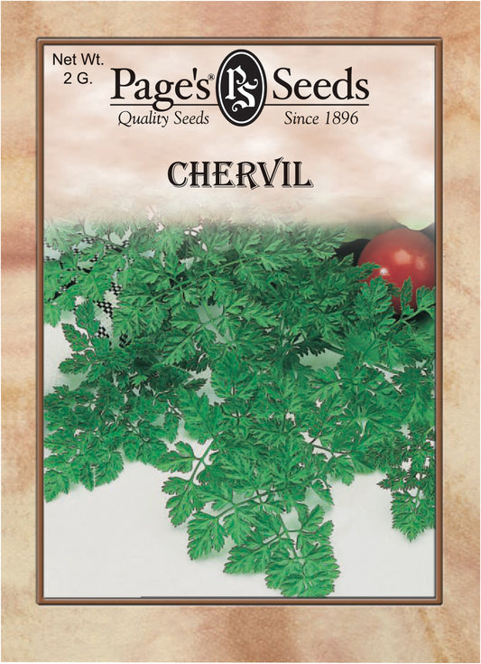 CHERVIL 2G NON GMO