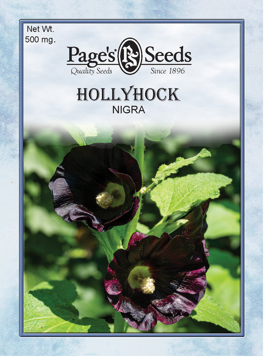 HOLLYHOCK - NIGRA 500MG NON GMO