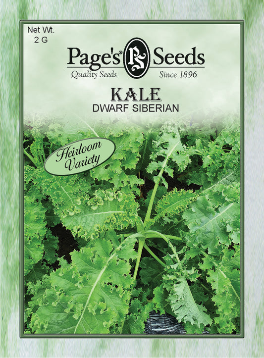 KALE - DWARF SIBERIAN 2G HEIRLOOM NON GMO