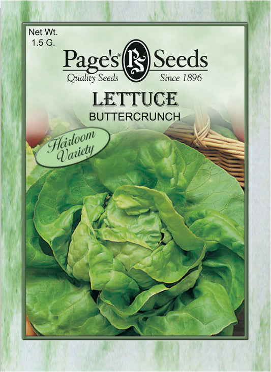 LETTUCE - BUTTERCRUNCH 1.5G HEIRLOOM NON GMO