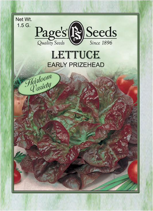 LETTUCE - EARLY PRIZEHEAD 1.5G HEIRLOOM NON GMO