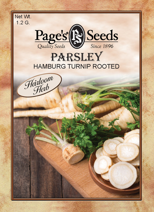 PARSLEY - HAMBURG TURNIP ROOTED 1.2G HEIRLOOM NON GMO
