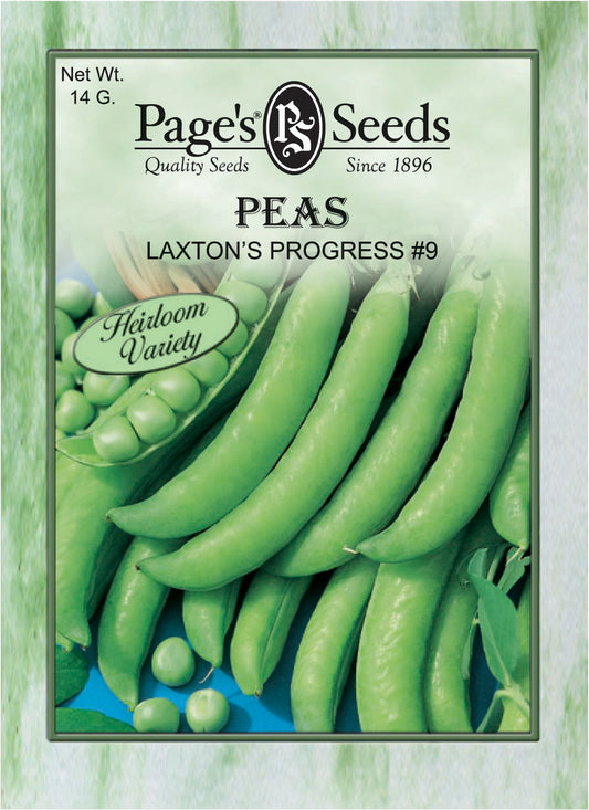 PEAS - LAXTON'S PROGRESS #9 14G HEIRLOOM NON GMO