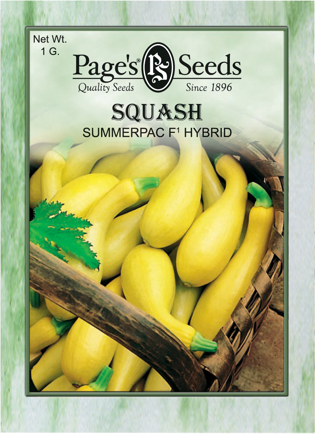 SQUASH - SUMMERPAC F1 HYBRID 1G NON GMO