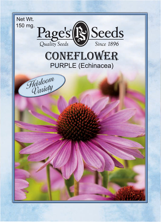 CONEFLOWER - PURPLE ECHINACEA 150MG HEIRLOOM NON GMO