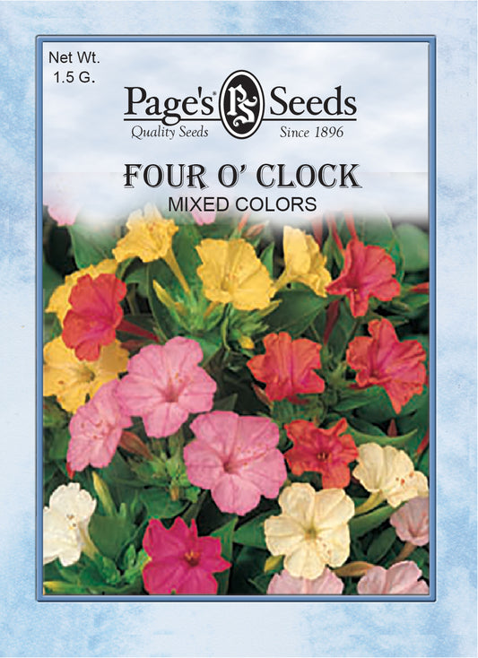 FOUR O' CLOCK - MIXED COLORS 1.5 G NON GMO