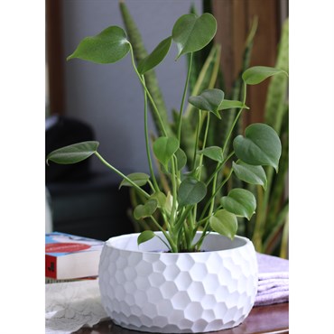 PHG HONEYCOMB BOWL