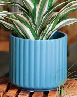 PHG PALM SPRINGS BRUSH COMB POT - 8 IN - DENIM