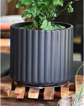 PHG PALM SPRINGS BRUSH COMB POTS -8IN- MATTE BLACK