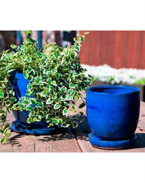 PHG VERANDAH MAUI INDOOR PLANTER - 5 IN - BLUE