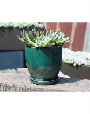 PHG VERANDAH MAUI INDOOR PLANTER 5IN JADE