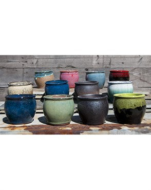 PHG VERANDAH JASMINE BOWLS 3.5IN X 3IN ASSORTED COLORS