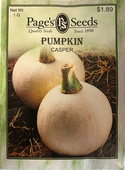 PUMPKIN - CASPER 1G NON GMO