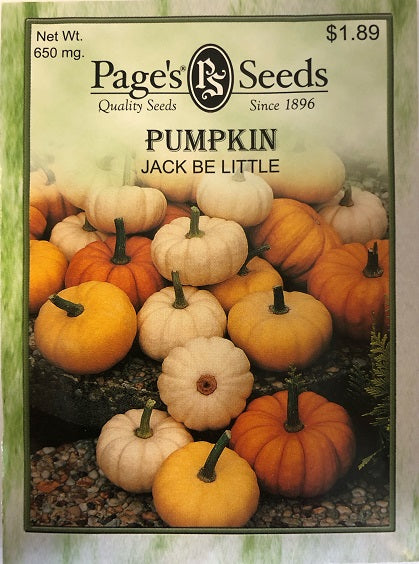 PUMPKIN - JACK BE LITTLE 650MG NON GMO