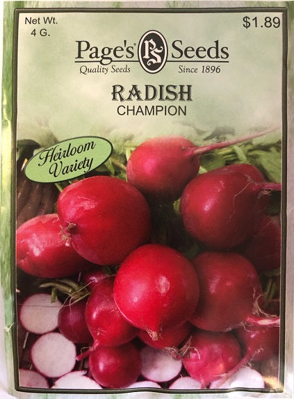 RADISH - CHAMPION 4G HEIRLOOM NON GMO