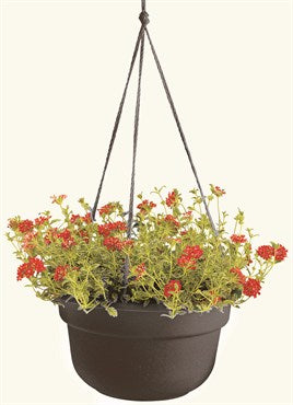 BLOEM DURA COTTA HANGING BASKET - 12 IN - BLACK
