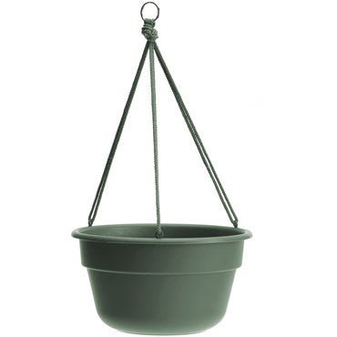 BLOEM DURA COTTA HANGING BASKET - 12IN - BASIL