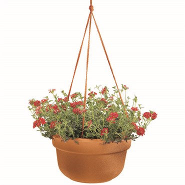 BLOEM DURA COTTA HANGING BASKET - 12 IN - TERRA COTTA