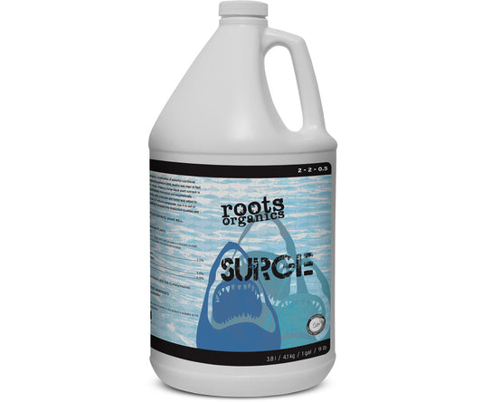 AURORA SURGE 1 GAL