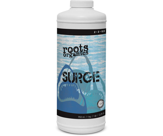 AURORA SURGE 1 QT