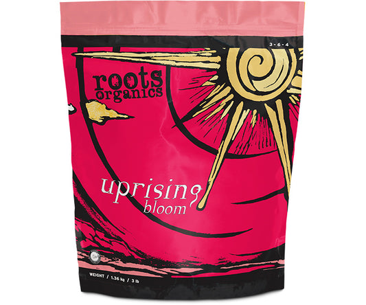 AURORA UPRISING BLOOM 3 LB