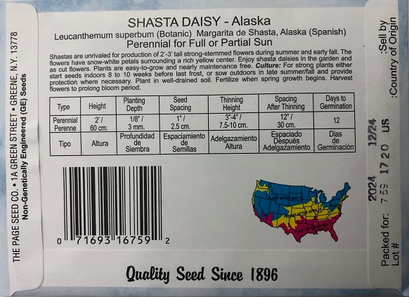 SHASTA DAISY - ALASKA 550MG HEIRLOOM NON GMO