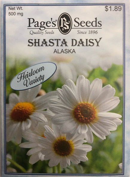 SHASTA DAISY - ALASKA 550MG HEIRLOOM NON GMO