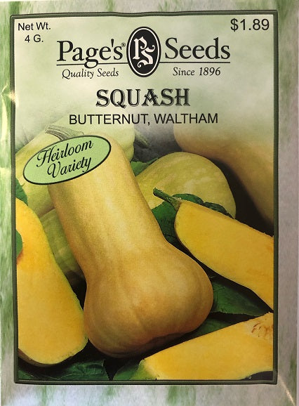 SQUASH - BUTTERNUT WALTHAM 4G HEIRLOOM NON GMO