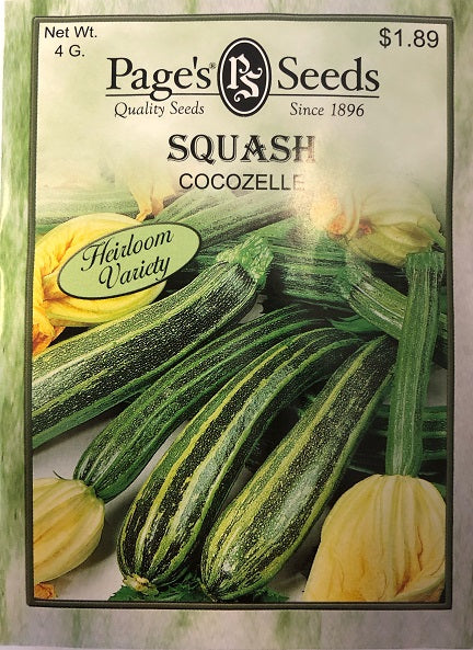 SQUASH - COCOZELLE 4G HEIRLOOM NON GMO