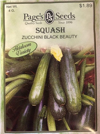 SQUASH - ZUCCHINI BLACK BEAUTY 4G HEIRLOOM NON GMO