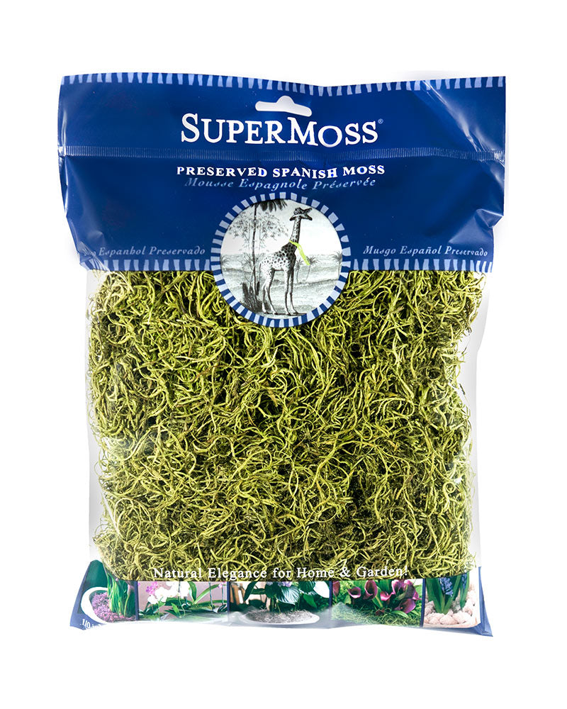 SUPERMOSS PRESERVED SPANISH MOSS - 4 OZ - 175 CU IN - BASIL