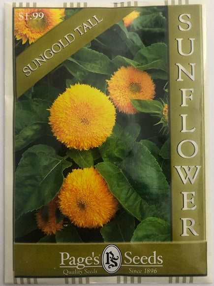 SUNFLOWER - SUNGOLD TALL 2G