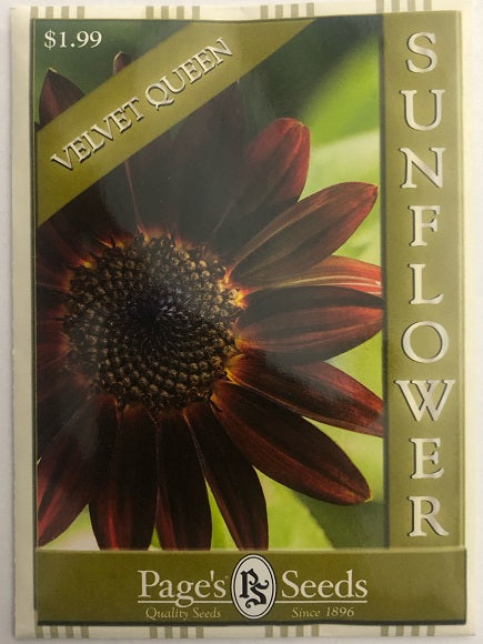 SUNFLOWER - VELVET QUEEN 1.5G