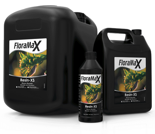 FM RESIN XS 1.3 GAL / 5 L