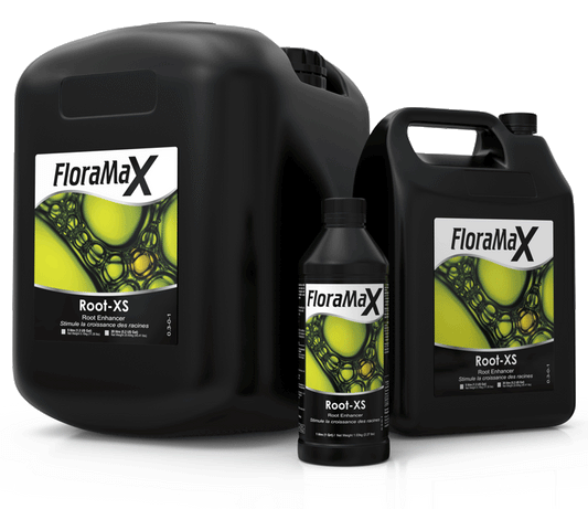 FM ROOTS XS 1.3 GAL / 5 L