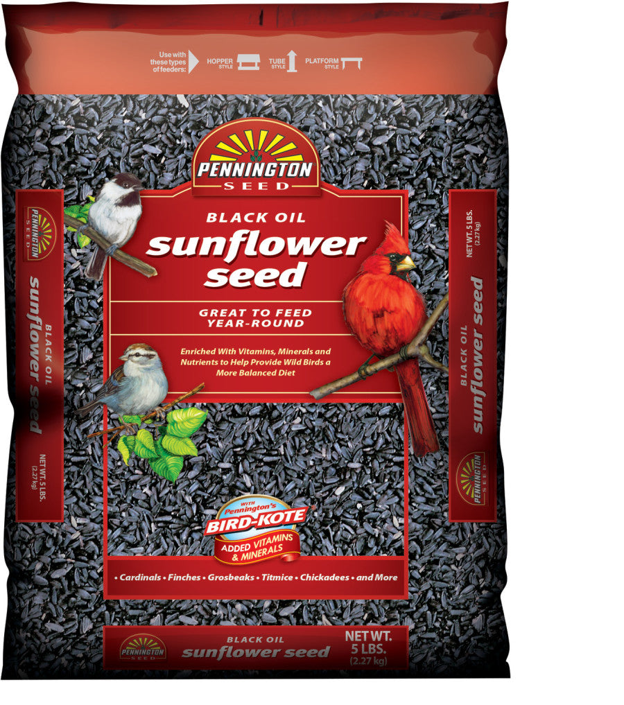 PEN BLACK OIL SUNFLOWER SEED BIRD FOOD 5 LB