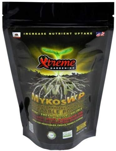 XT MYKOS WP 2.2 LB