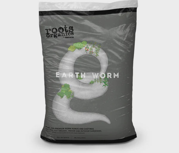 AURORA EARTH WORM 1 CF