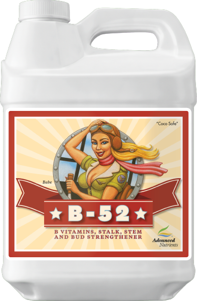 AN B52 250 ML