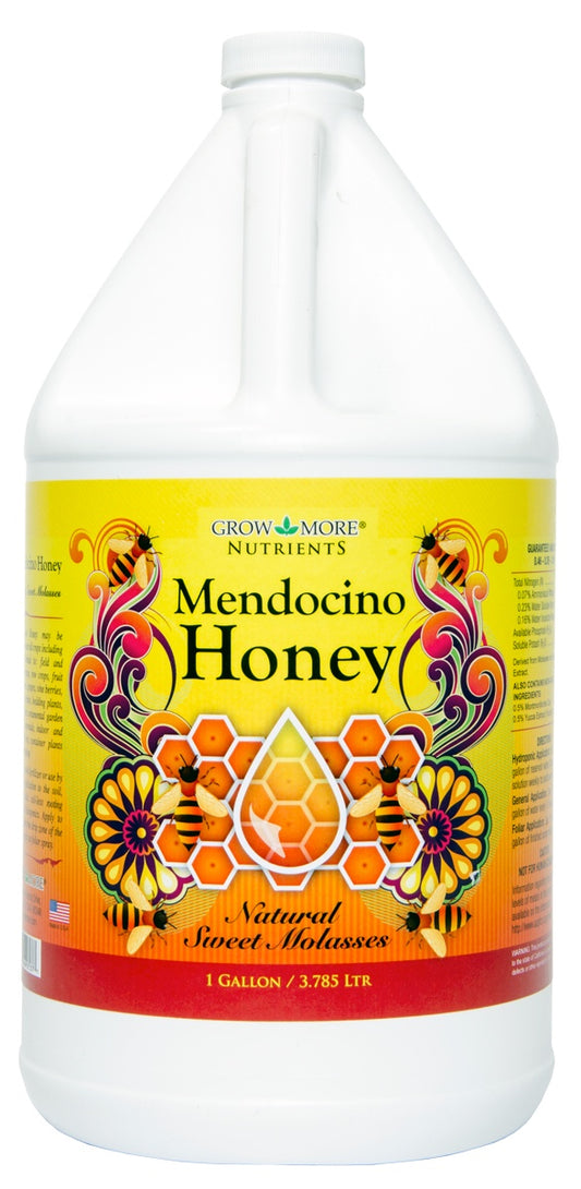 GM MENDOCINO HONEY 1 GAL