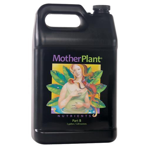 HDI MOTHER PLANT B
