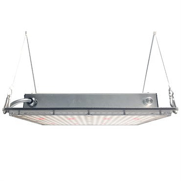 HORT2O LED FIXTURE 100 W